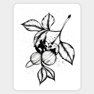 Planet Berries Sticker